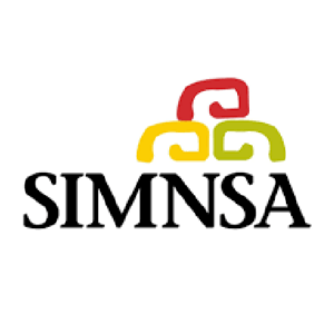 SIMNSA